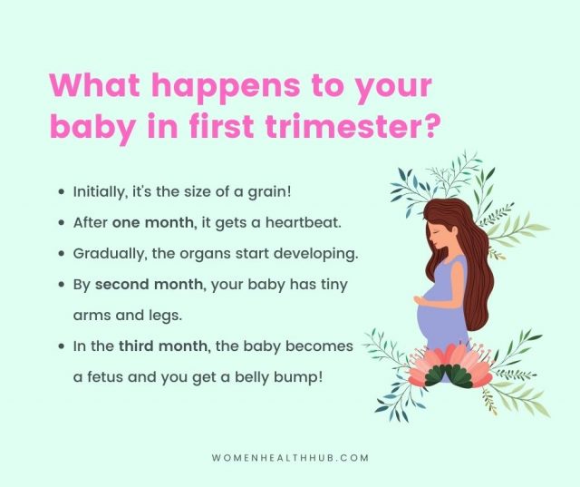 How to prepare for the first trimester of pregnancy