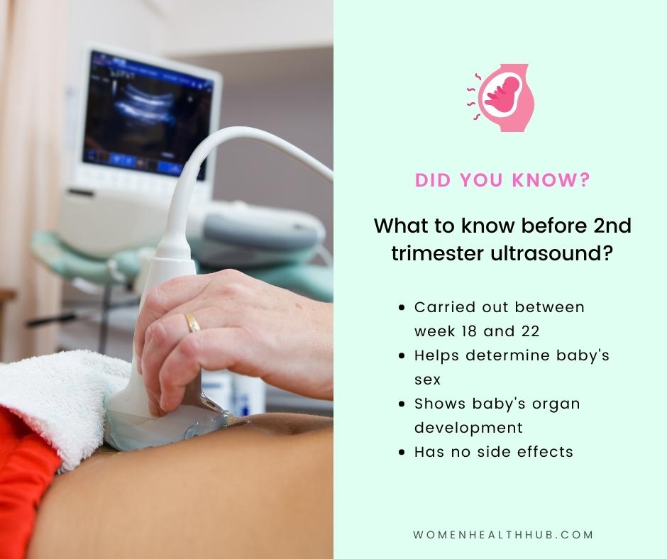 2nd trimester ultrasound - everything you need to know! Women Health Hub