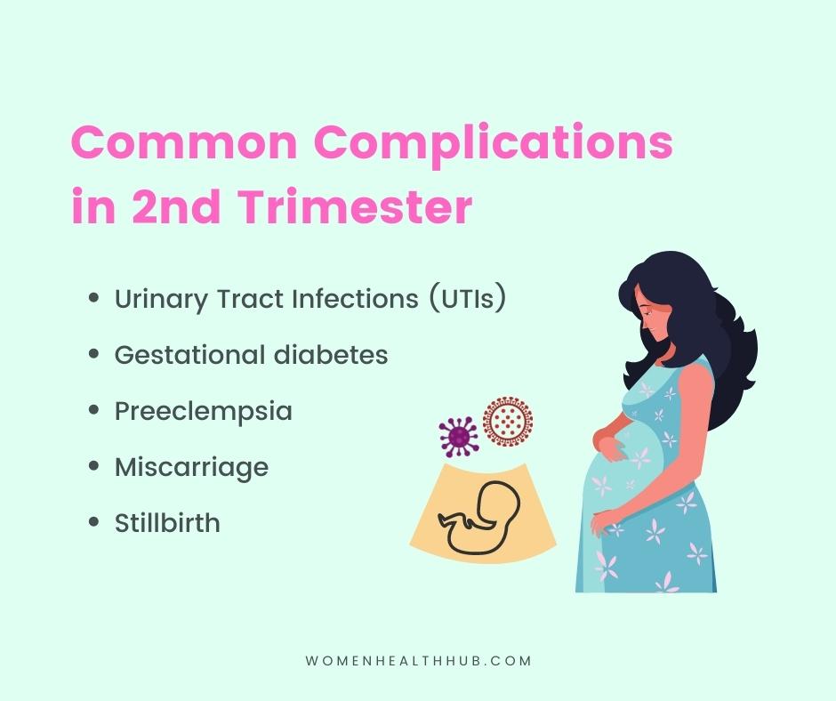 complications, diet, risks, precautions in pregnancy's 2nd trimester - Women Health Hub