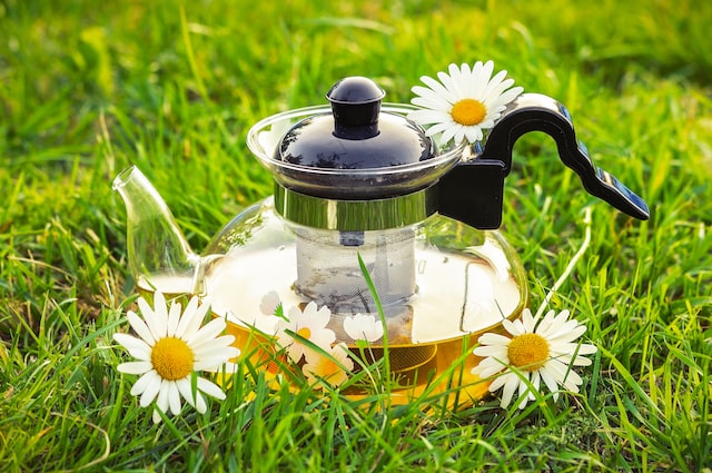 health benefits of chamomile tea for women 