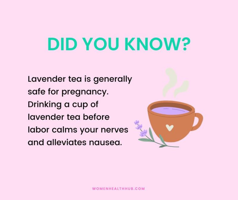 Surprising Health Benefits of Lavender Tea for Women Women Health Hub